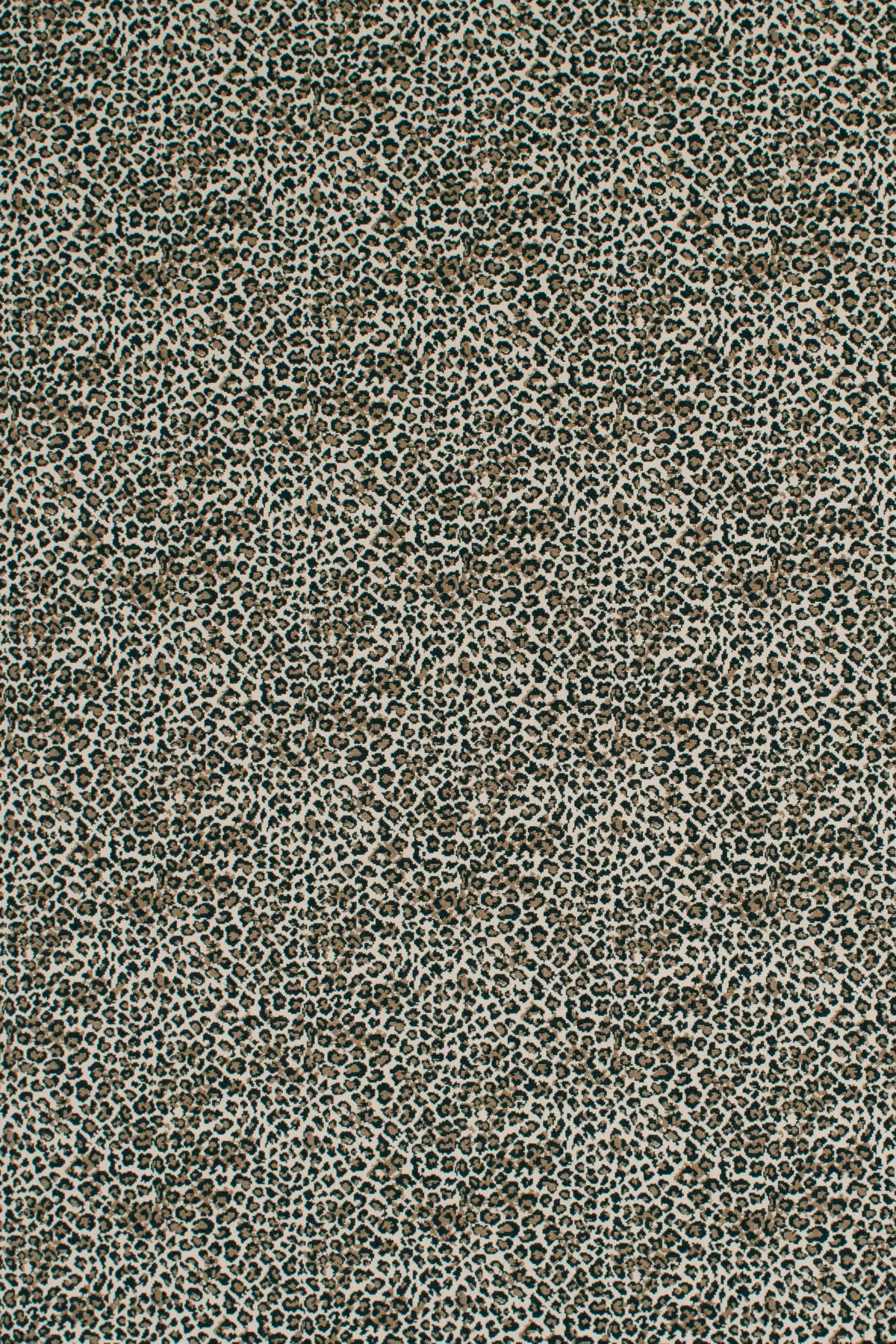 37 Sahara