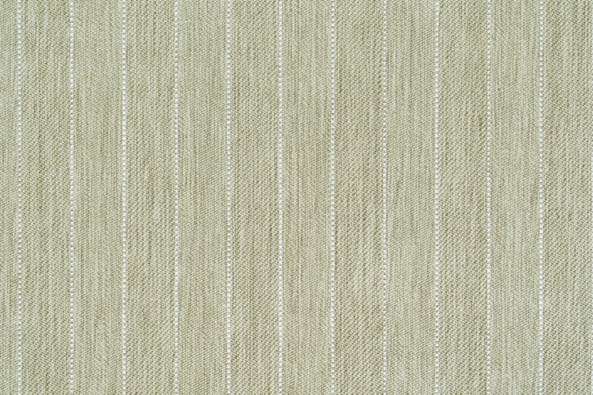 77 Lichen