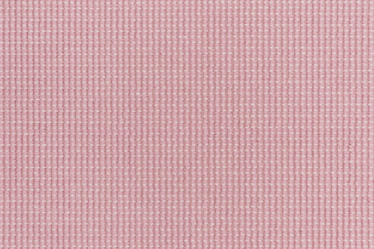 92 Sherbert