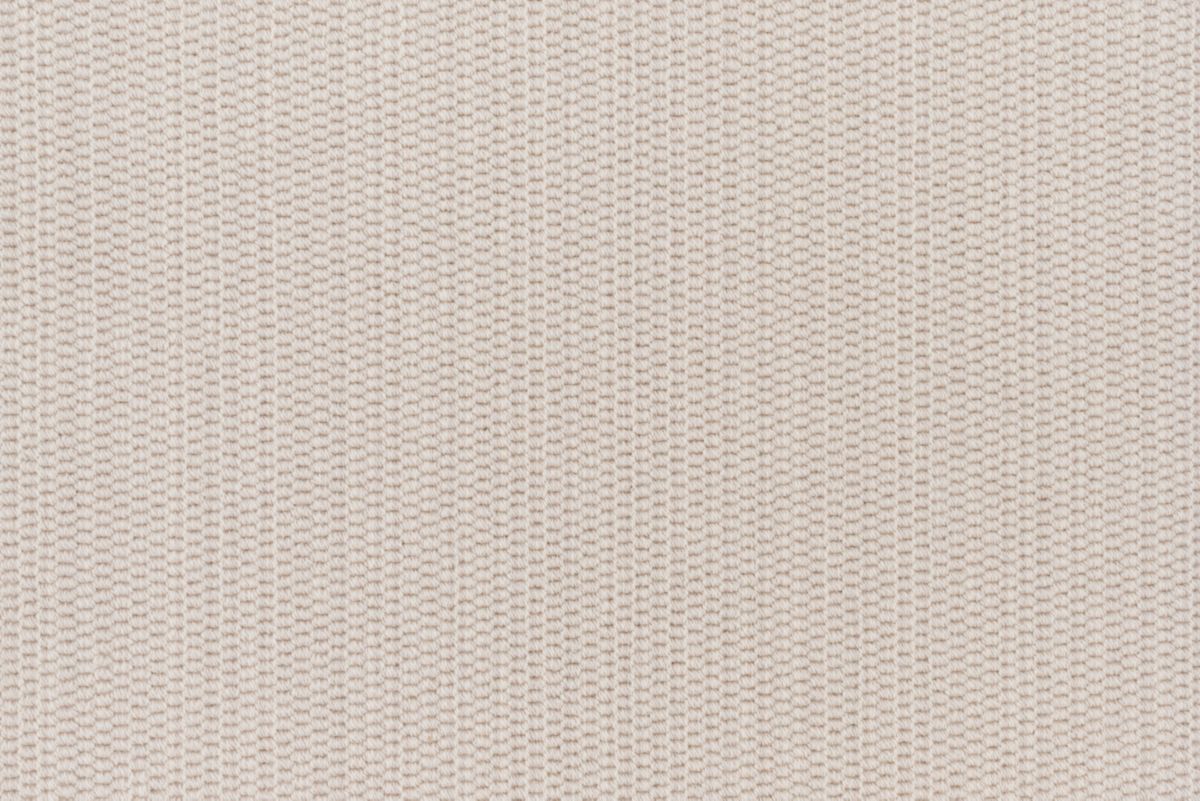 T01003403_CL