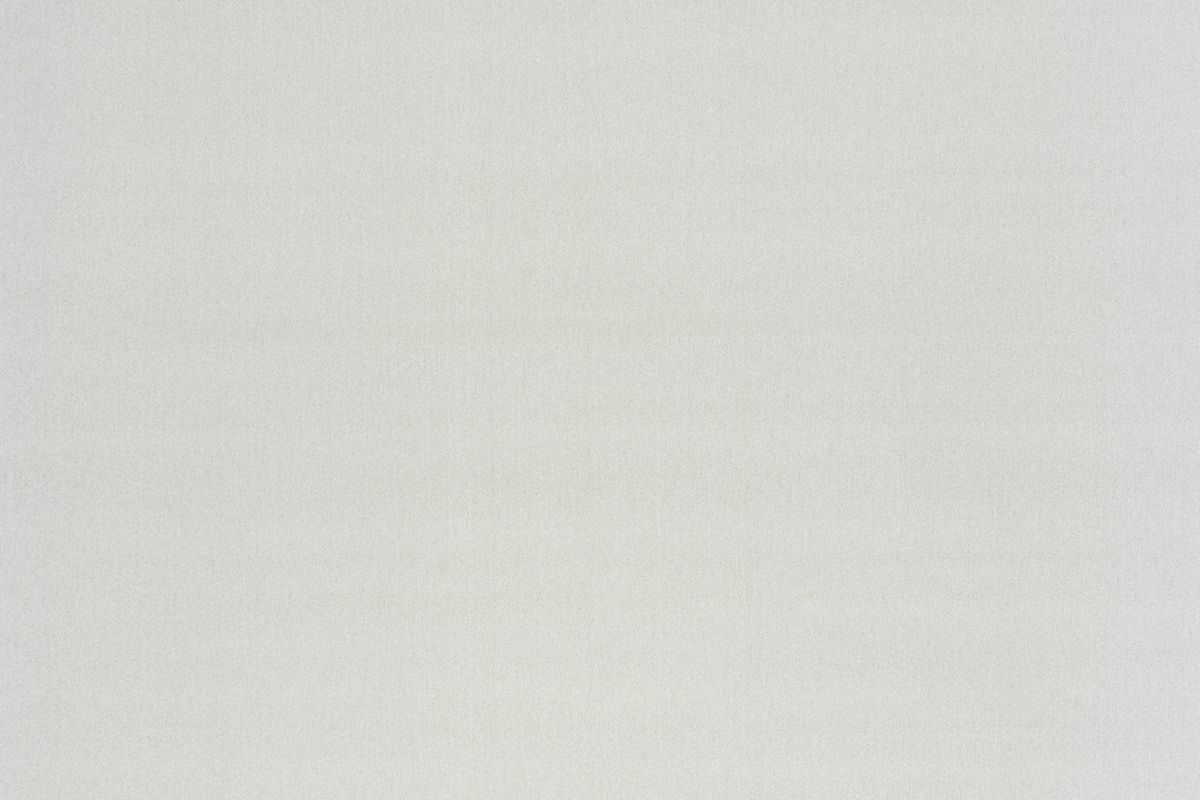 T01009907_ALT2